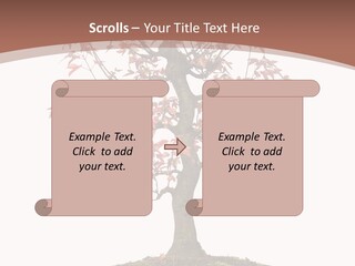 Big Abstract House PowerPoint Template