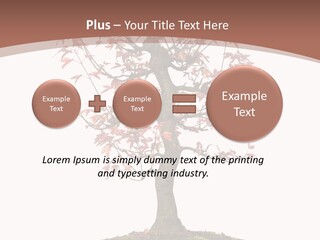 Big Abstract House PowerPoint Template