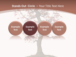 Big Abstract House PowerPoint Template