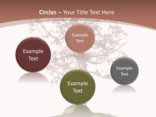 Big Abstract House PowerPoint Template