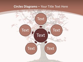 Big Abstract House PowerPoint Template