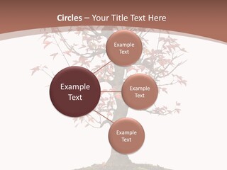 Big Abstract House PowerPoint Template