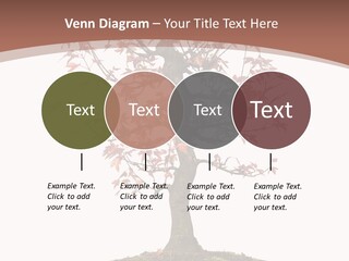 Big Abstract House PowerPoint Template