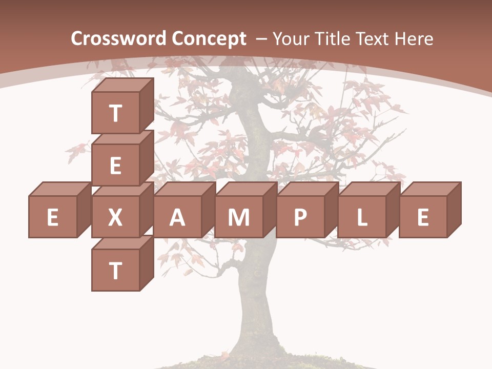 Big Abstract House PowerPoint Template