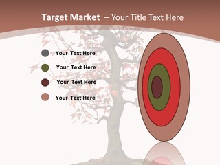 Big Abstract House PowerPoint Template