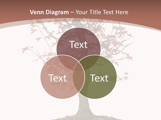 Big Abstract House PowerPoint Template