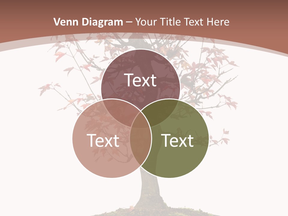 Big Abstract House PowerPoint Template