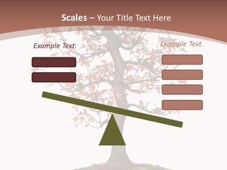 Big Abstract House PowerPoint Template