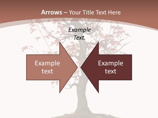 Big Abstract House PowerPoint Template