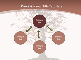 Big Abstract House PowerPoint Template