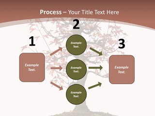 Big Abstract House PowerPoint Template