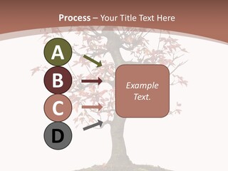 Big Abstract House PowerPoint Template