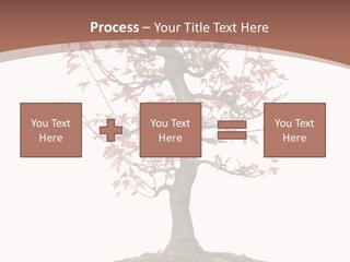 Big Abstract House PowerPoint Template