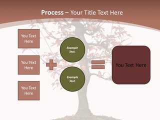 Big Abstract House PowerPoint Template