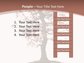 Big Abstract House PowerPoint Template