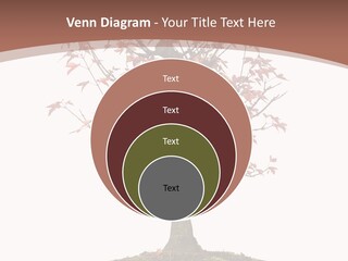 Big Abstract House PowerPoint Template