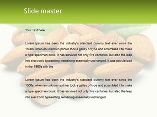 Architect Background Graphic PowerPoint Template