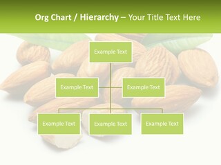 Architect Background Graphic PowerPoint Template