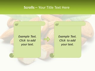 Architect Background Graphic PowerPoint Template