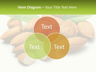 Architect Background Graphic PowerPoint Template