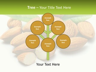 Architect Background Graphic PowerPoint Template