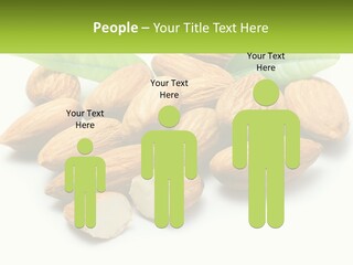 Architect Background Graphic PowerPoint Template