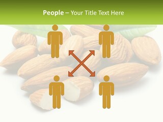 Architect Background Graphic PowerPoint Template