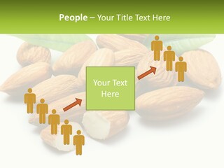 Architect Background Graphic PowerPoint Template