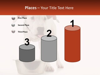 Downtown Modern Planet PowerPoint Template