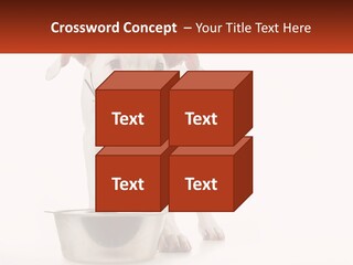 Downtown Modern Planet PowerPoint Template