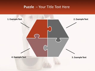 Downtown Modern Planet PowerPoint Template