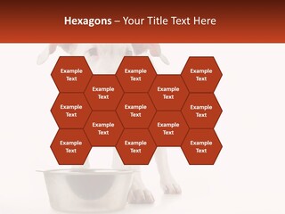 Downtown Modern Planet PowerPoint Template