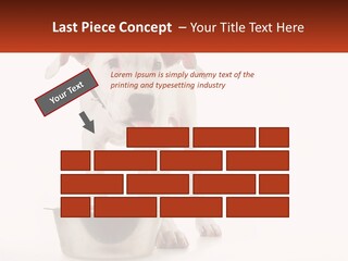 Downtown Modern Planet PowerPoint Template