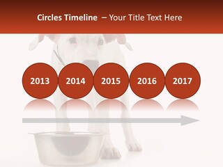 Downtown Modern Planet PowerPoint Template