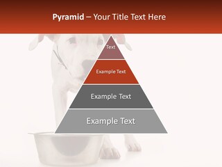 Downtown Modern Planet PowerPoint Template