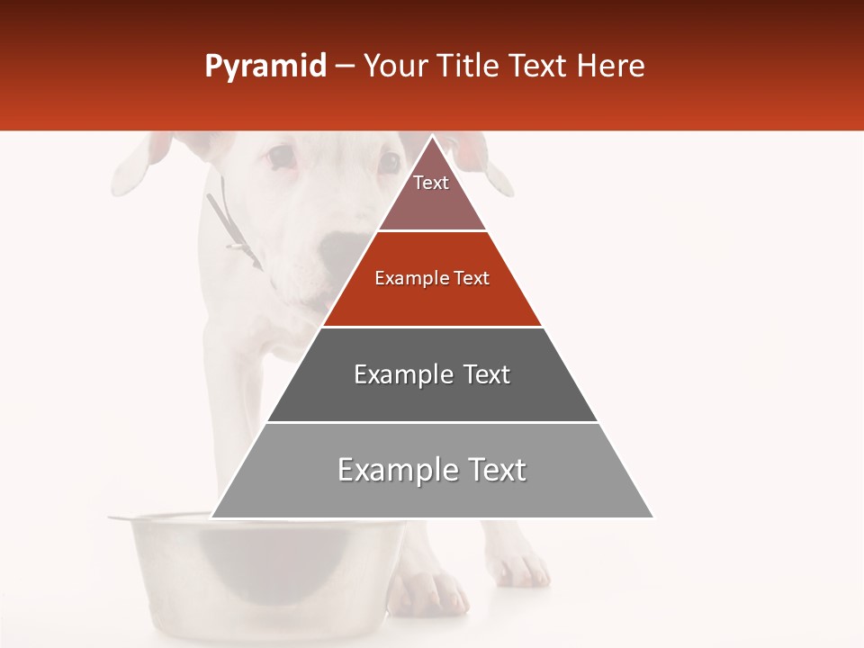 Downtown Modern Planet PowerPoint Template