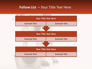 Downtown Modern Planet PowerPoint Template