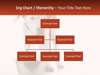 Downtown Modern Planet PowerPoint Template