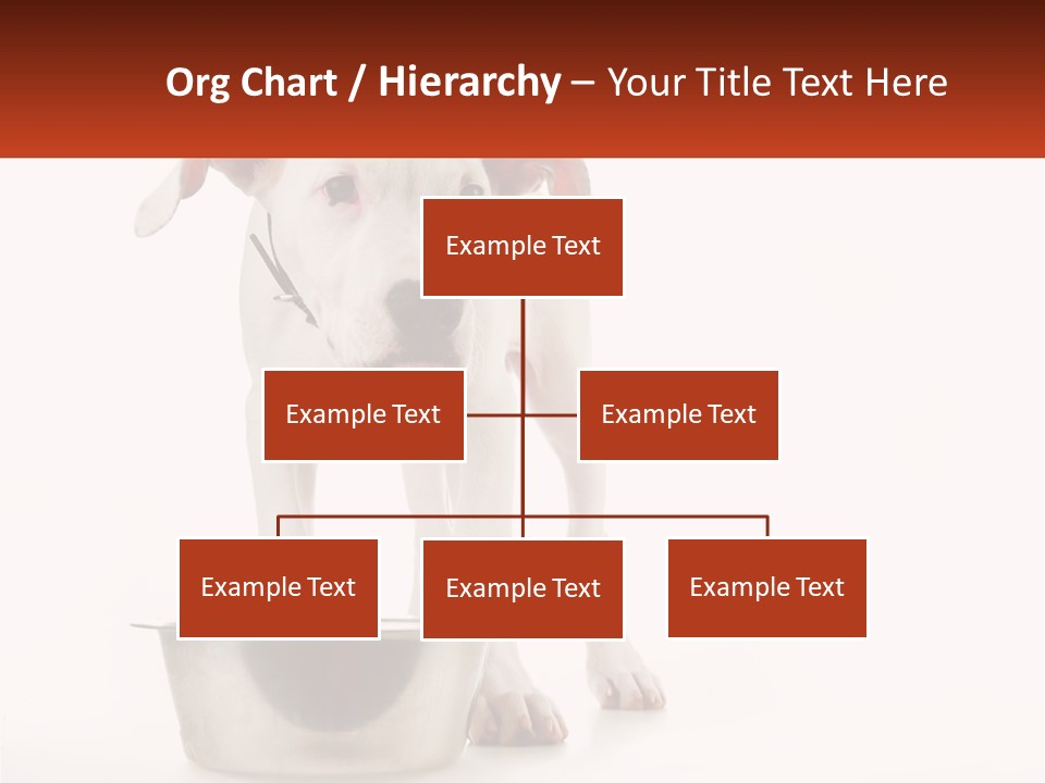 Downtown Modern Planet PowerPoint Template