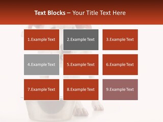 Downtown Modern Planet PowerPoint Template