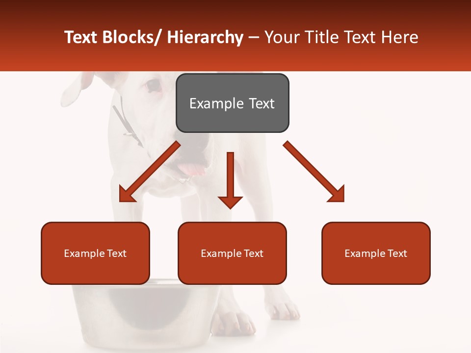 Downtown Modern Planet PowerPoint Template