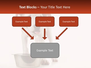 Downtown Modern Planet PowerPoint Template