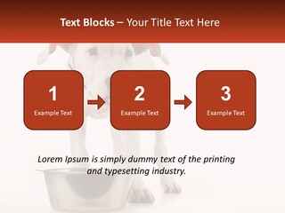 Downtown Modern Planet PowerPoint Template