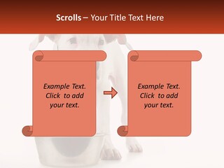 Downtown Modern Planet PowerPoint Template