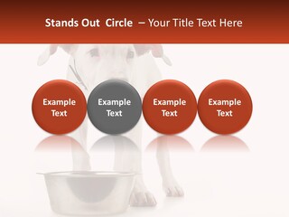 Downtown Modern Planet PowerPoint Template