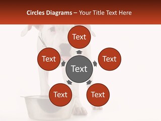 Downtown Modern Planet PowerPoint Template