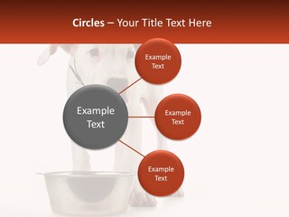 Downtown Modern Planet PowerPoint Template