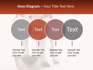 Downtown Modern Planet PowerPoint Template