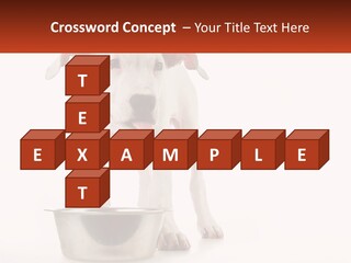 Downtown Modern Planet PowerPoint Template