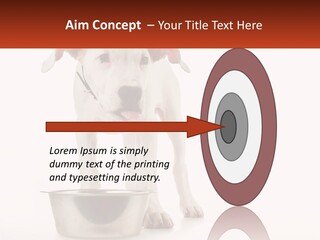 Downtown Modern Planet PowerPoint Template